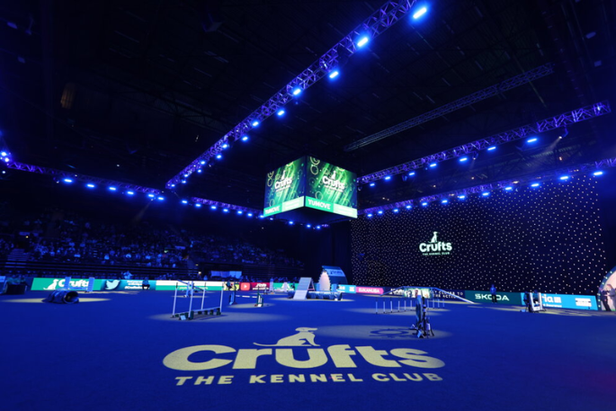 Livestream Crufts 2024