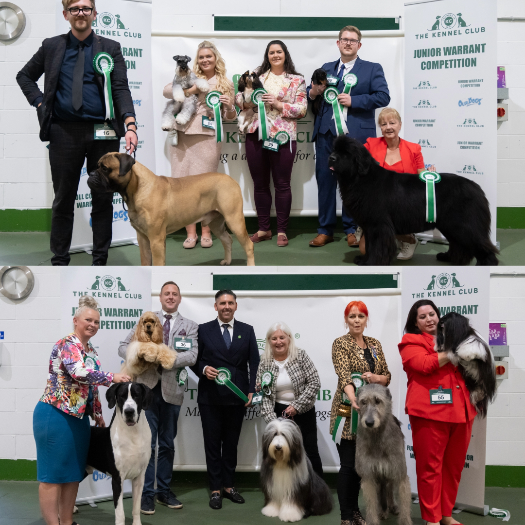 Junior Warrant finalists and judges Robert Dunlop and Stuart Payne Credit Yulia Titovets - The Kennel Club