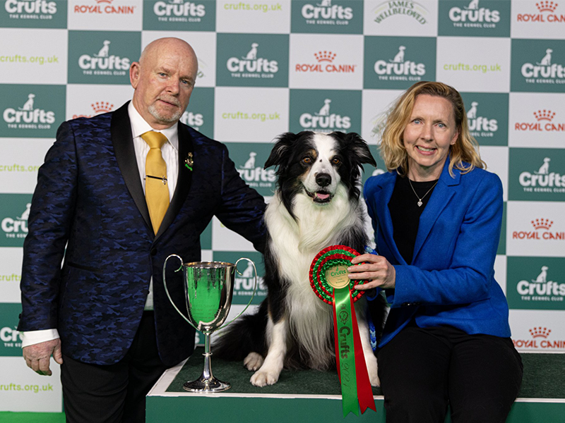 Brighton dog and owner become Crufts 2024 obedience champions. Crufts Obedience Champion Dog winner Credit BeatMedia | The Kennel Club